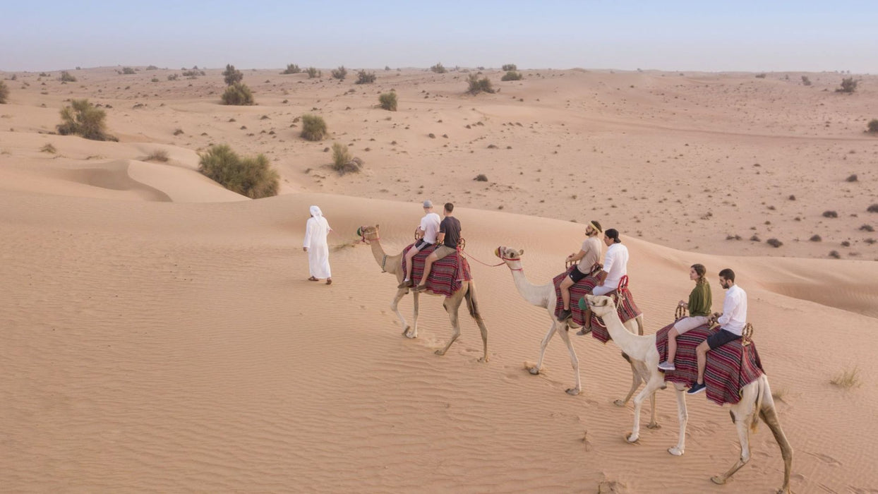 Shared Desert Safari by Camel with Overnight Stay