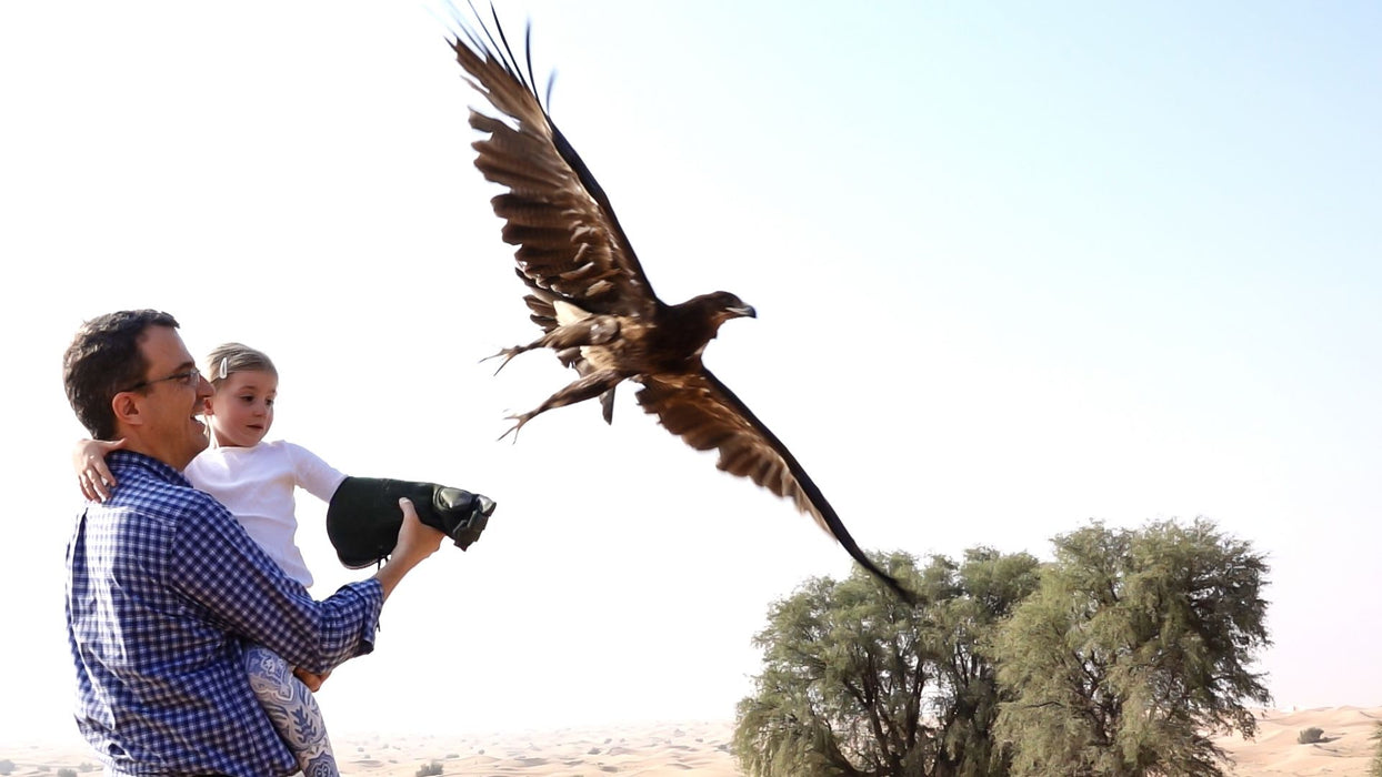 Falconry Experience with Gourmet Breakfast