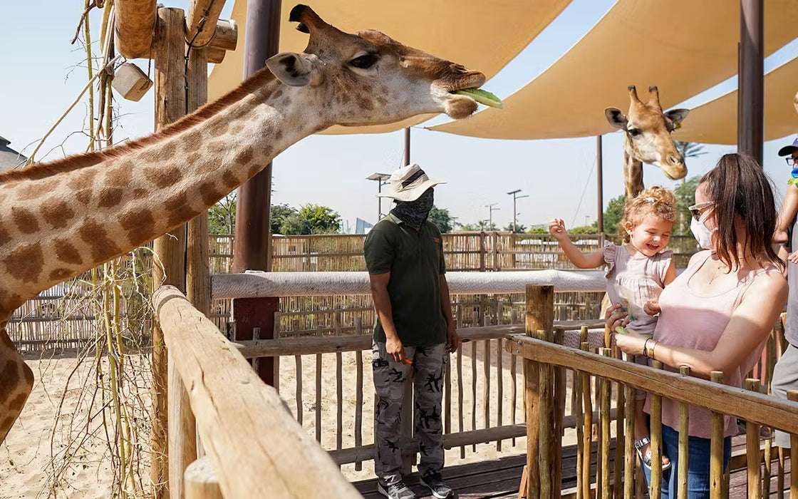 Dubai Safari Park Day Pass for One Adult