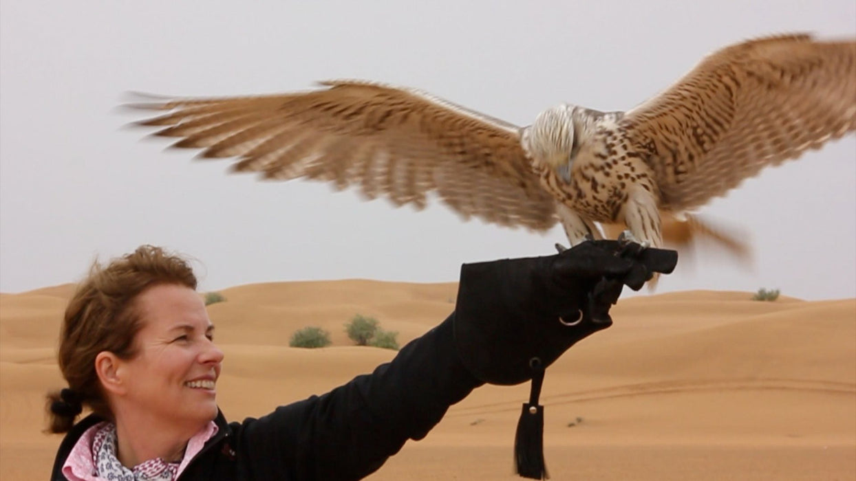 Fun Falconry Safari with Breakfast for Two in Dubai