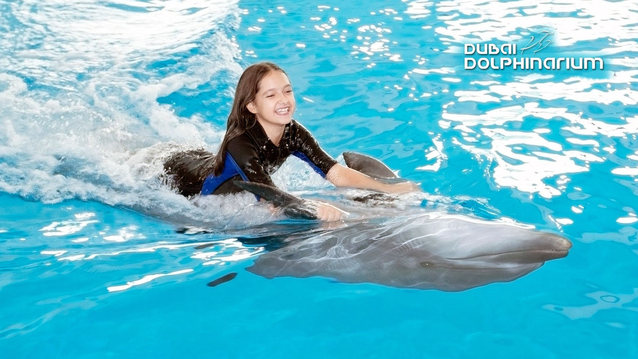 One Night Hotel Stay in Dubai with Dolphinarium Tickets for Two