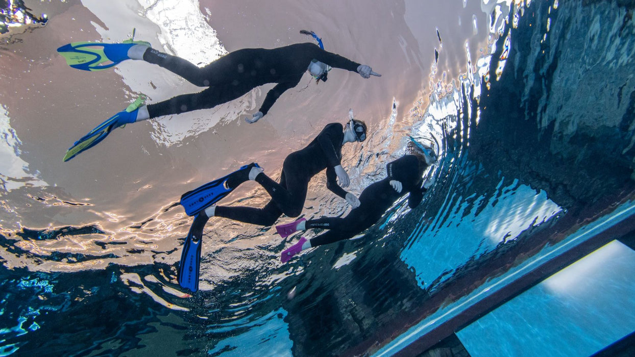 Snorkeling Experience at Deep Dive Dubai