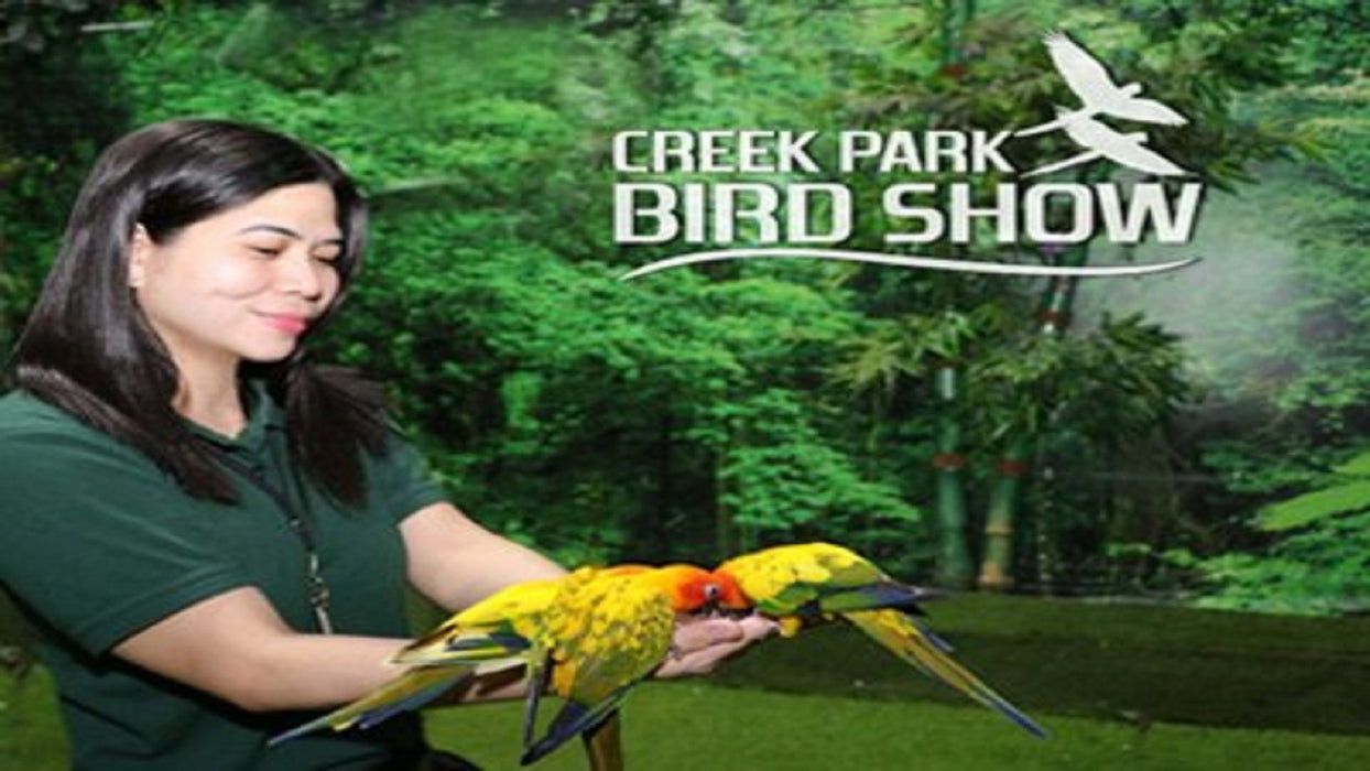 Entry for Family of Four at the Creek Park Exotic Bird Show