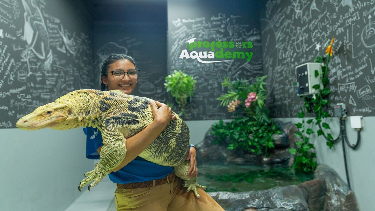 All Access Family Pass at The National Aquarium Abu Dhabi for Four