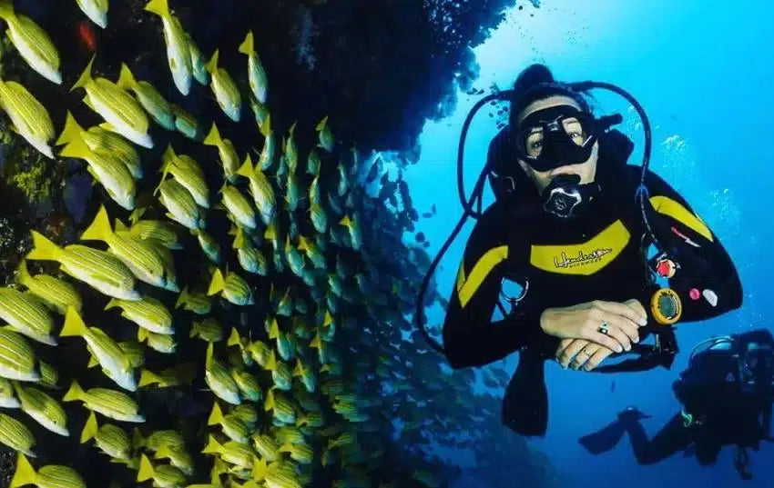 Discovery Scuba Dive Adventure for One in Palm Jumeirah