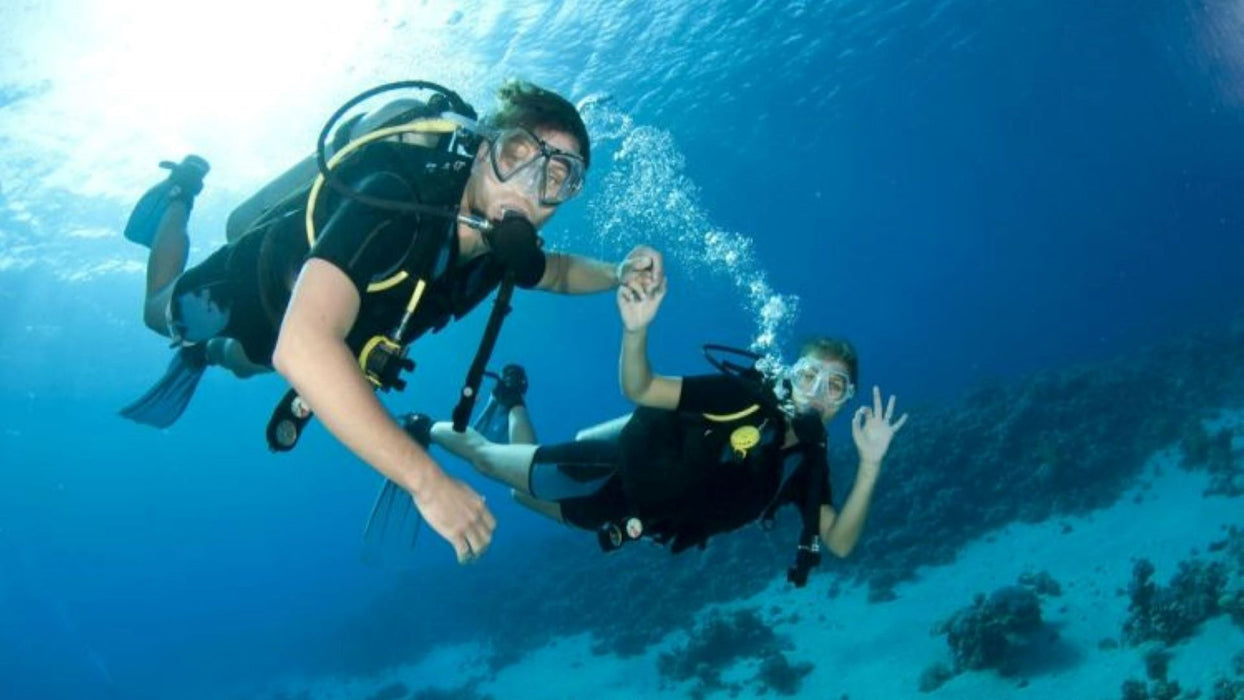 Discovery Scuba Dive Adventure for One in Palm Jumeirah