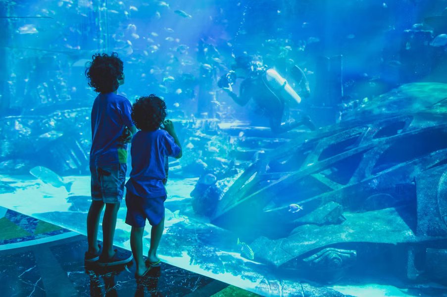 Dubai Aquarium & Underwater Zoo General Admission for One