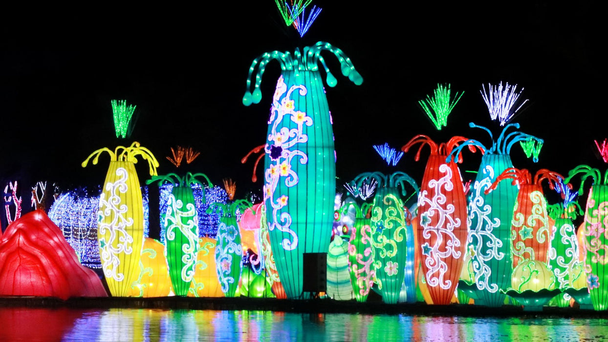Dubai Garden Glow with Access to Glow Park and Dinosaur Park for One