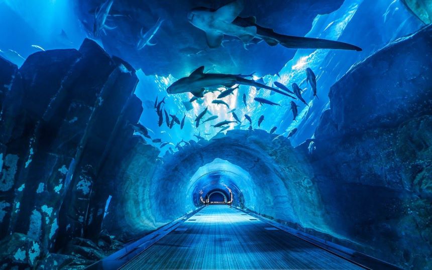 Dubai Aquarium and IMG World of Adventure Tickets for One