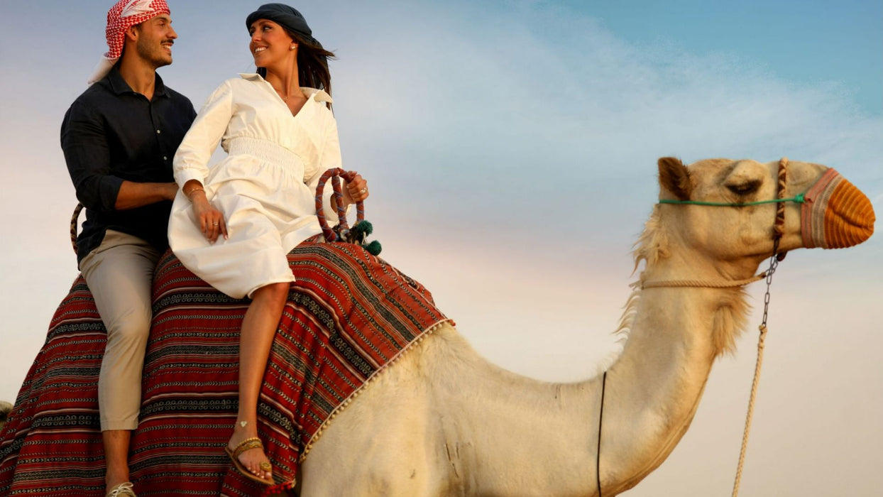 Camel Desert Safari, Sunset Falcon Show and Dinner for Two