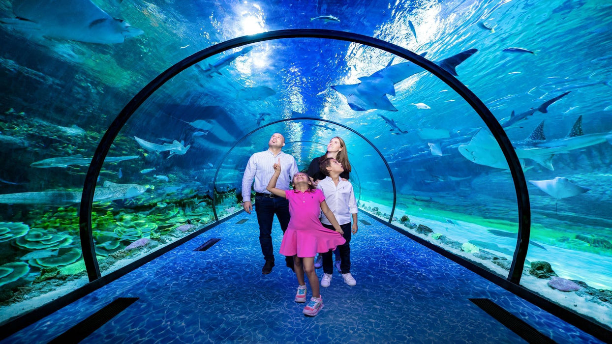 Bu Tinah Glass Bottom Dhow Cruise for Two at The National Aquarium Abu Dhabi