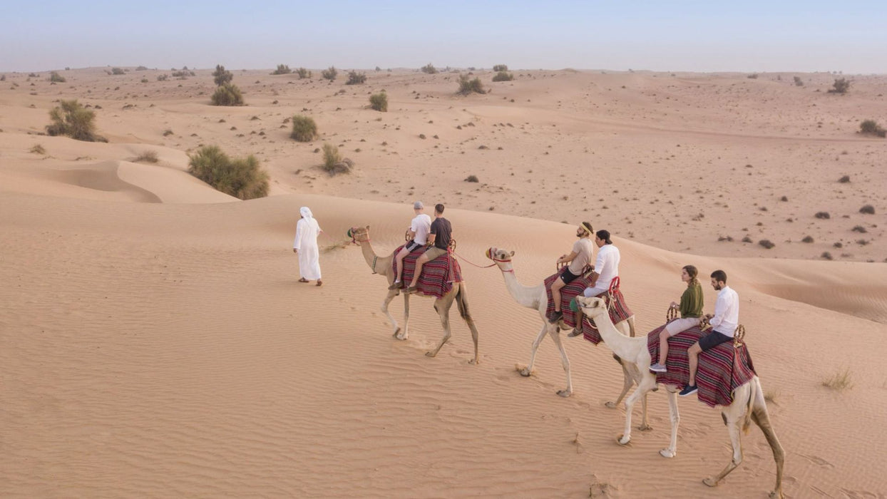 Camel Desert Safari, Sunset Falcon Show and Dinner for Two