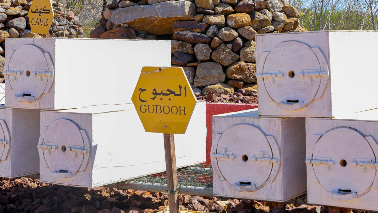 Discover Hatta Honeybee Garden With Your Family Of Four