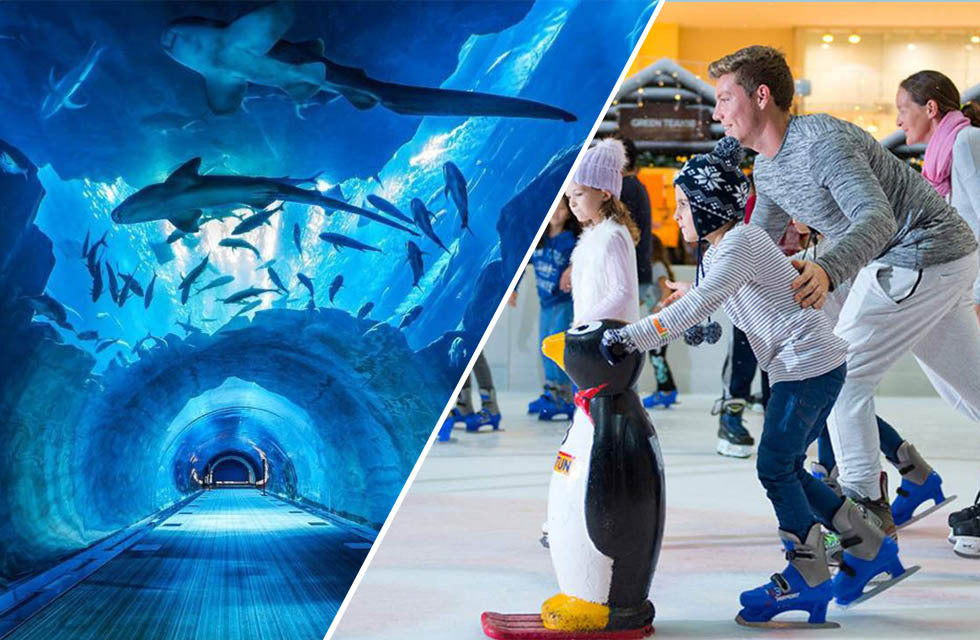General Admission at Dubai Aquarium and Dubai Ice Rink for 1
