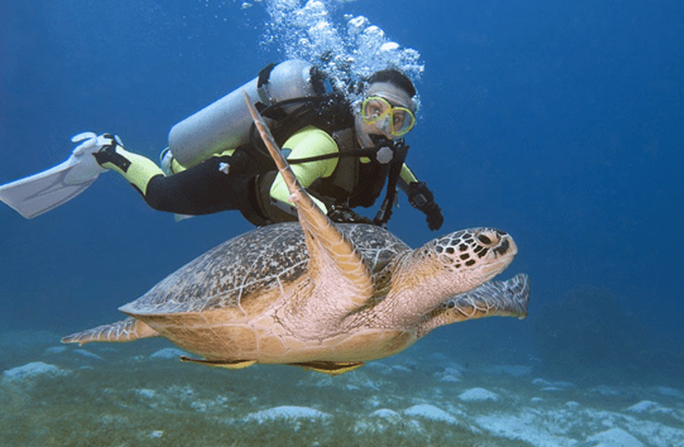 Fujairah Scuba Diving and Snorkeling with Turtles including BBQ Lunch